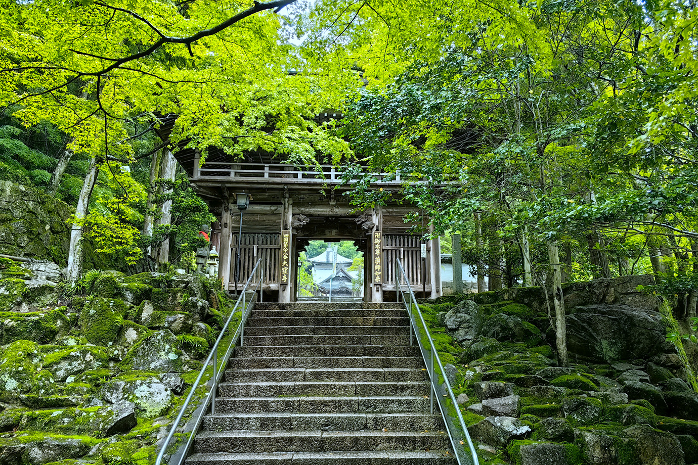 四國遍路-醫王山大漥寺